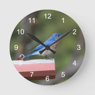 Horloge Ronde Bluebird