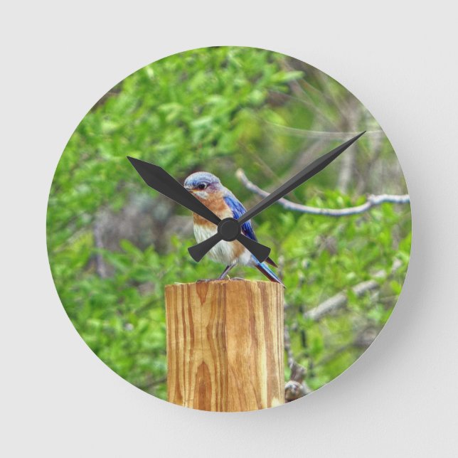 Horloge Ronde Bluebird on a Fence Post (Recto)