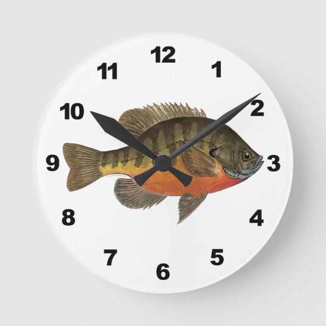 Horloge Ronde Bluegill Bream (Recto)