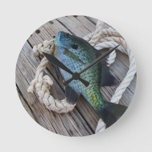 Horloge Ronde bluegill sur quai