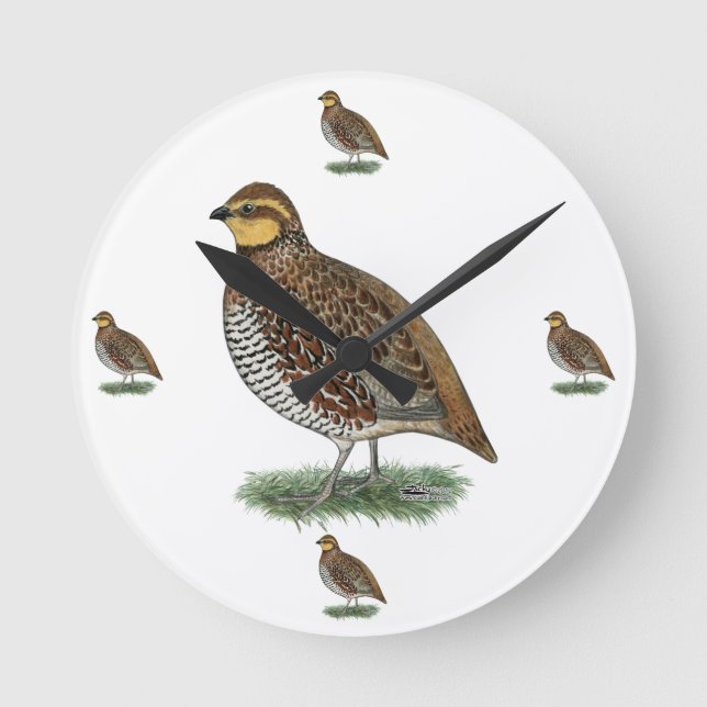 Horloge Ronde Bobwhite Quail Hen (Recto)