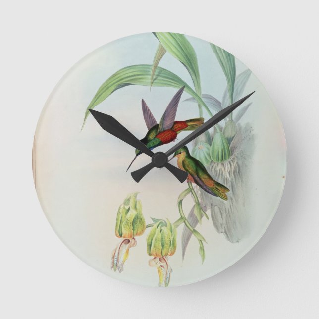 Horloge Ronde Bonaparte's Star Fronted Hummingbird (lumière colo (Recto)