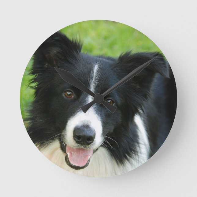Horloge Ronde Bordure Collie Chien Ajouter un animal de compagni (Recto)
