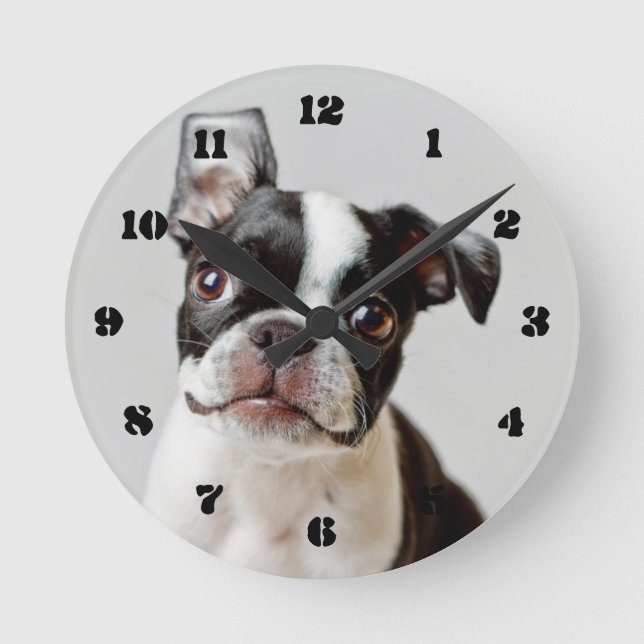 Horloge Ronde Boston Terrier (Recto)
