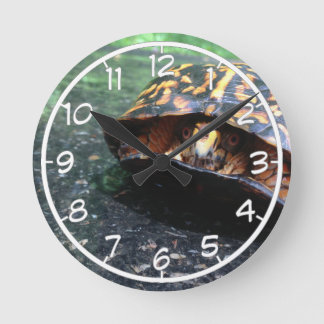 Horloge Ronde Box Turtle