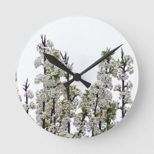 Horloge Ronde Bradford Pear Blossoms