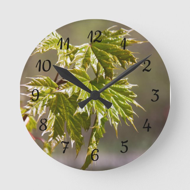 Horloge Ronde Branche d'érable vert mignon avec petits feuilles (Recto)