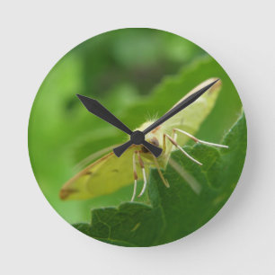 Horloge Ronde Brimstone Moth Wall Clock