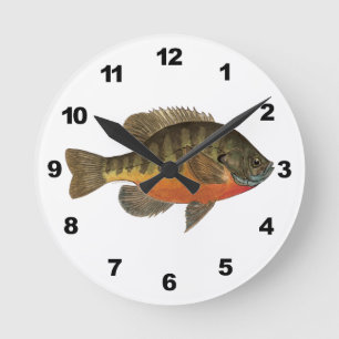 Horloge Ronde Brise de Bluegill