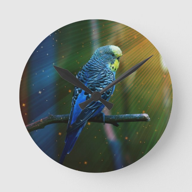 Horloge Ronde Budgie (Recto)