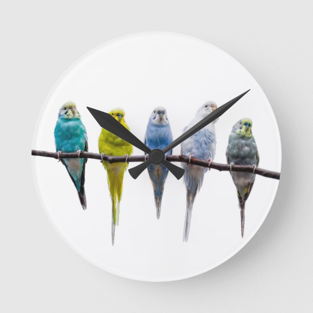 Horloge Ronde Budgies (Recto)