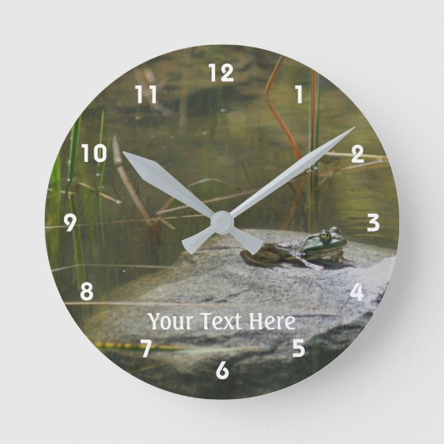 Horloge Ronde Bullfrog Sunning On Rock Nature (Recto)