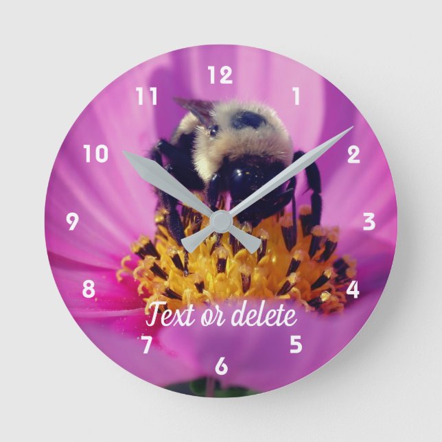 Horloge Ronde Bumble Bee On Cosmos Flower Personnalisé (Recto)