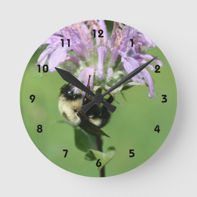 Horloge Ronde Bumble Bee On Purple Bee Balm (Recto)