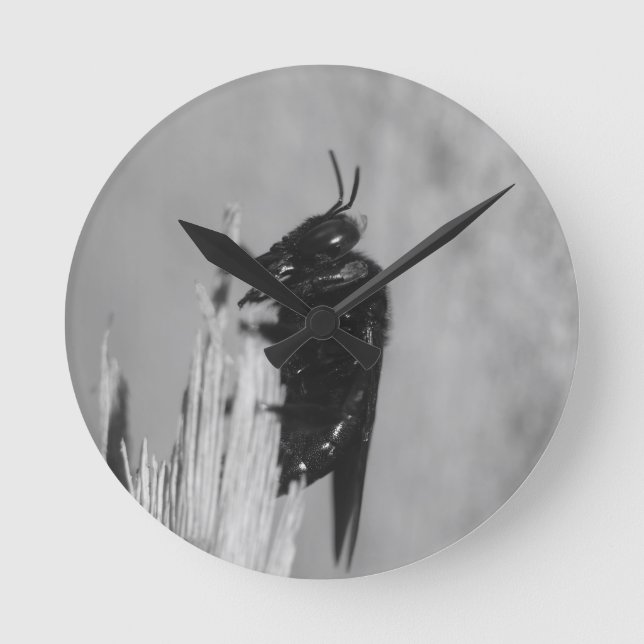 Horloge Ronde Bumblebee (Recto)