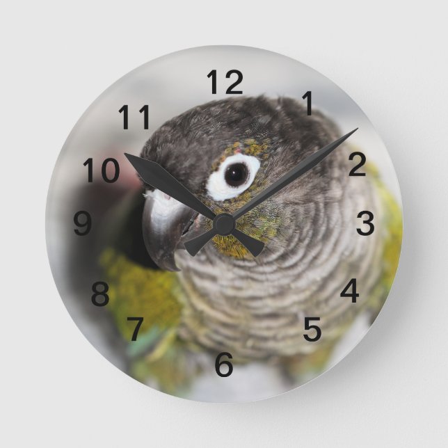 Horloge Ronde Burbel (Recto)