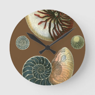 Horloge Ronde Cacao Shell