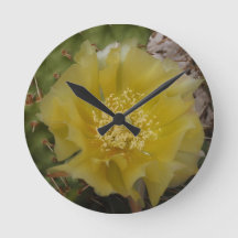 Cactus jaune en fleurs