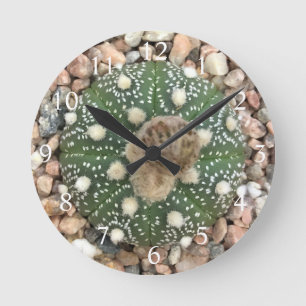 Horloge Ronde Cactus vert rare de motif d'Astrophytum Asterias