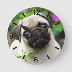 Horloge Ronde Cadran-plat mignon de portrait de chiot de carlin