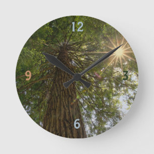Horloge Ronde Calming Sequoia With Sunburst Nature Photo