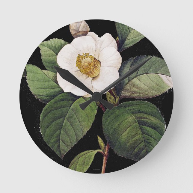 Horloge Ronde Camellia blanche (Recto)
