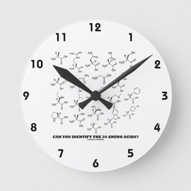 Horloge Ronde Can You Identify The 20 Amino Acids ? (Chemistry) (Recto)