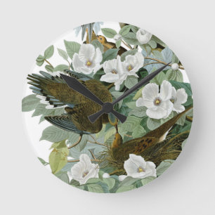 Horloge Ronde Carolina Pigeon Audubon Morning Dove