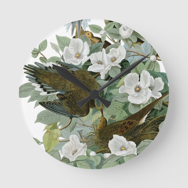 Horloge Ronde Carolina Pigeon Audubon Morning Dove (Recto)