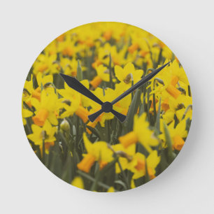 Horloge Ronde Carreau de céramique Champ de jonquilles
