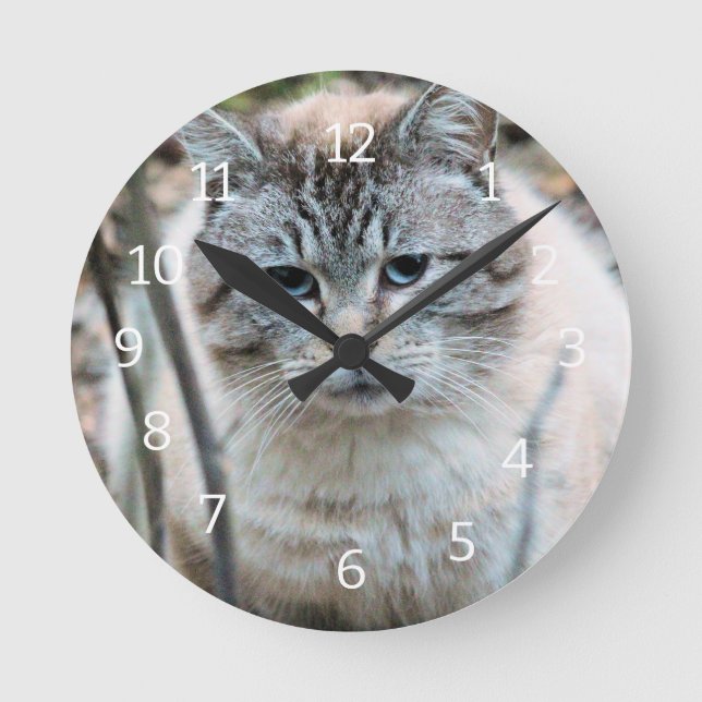 Horloge Ronde Cat (Recto)