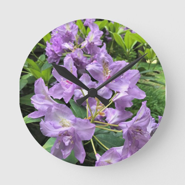 Horloge Ronde Catawbiense Boursault Rhododendrons, Oregon (Recto)