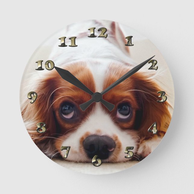 Horloge Ronde Cavalier Charles Spaniel (Recto)
