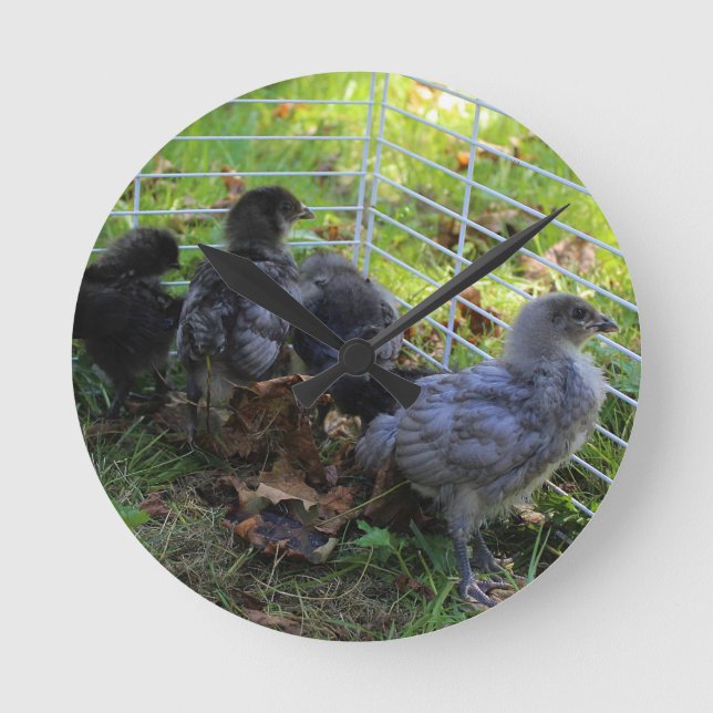 Horloge Ronde Ce qui est - bout de poulet (Recto)
