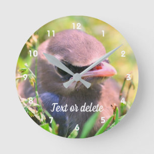 Horloge Ronde Cèdre jaune cire oiseau naissant