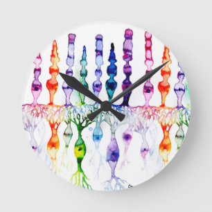 Horloge Ronde Cellules cônes cellules tiges et neurone bipolaire