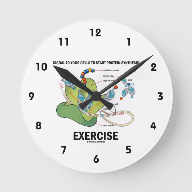 Horloge Ronde Cellules Signal Pour Démarrer L'Exercice De Synthè (Recto)