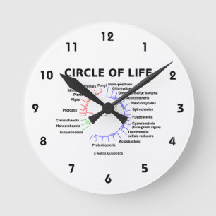 Horloge Ronde Cercle de la vie (arbre phylogénétique circulair