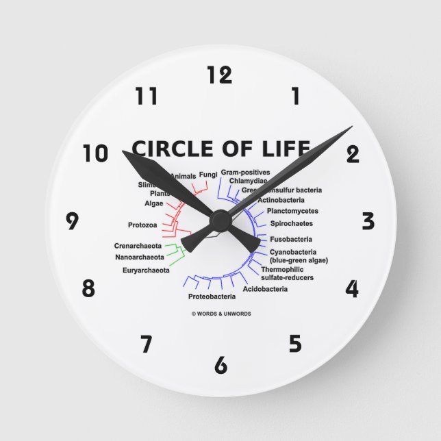 Horloge Ronde Cercle De Vie (Arbre Phylogénétique Circulaire) (Recto)