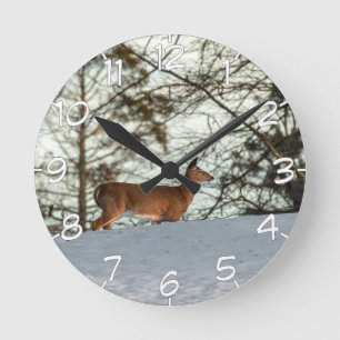 Horloge Ronde Cerf à queue blanche (avec chiffres)
