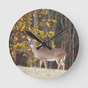 Horloge Ronde Cerf devant l'arbre d'automne jaune
