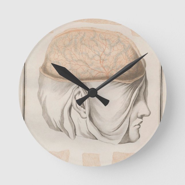 Horloge Ronde Cerveau un - Neuroanatomie (Recto)