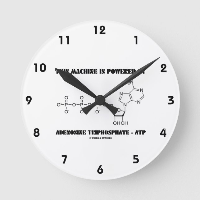Horloge Ronde Cette Machine Est Alimentée Par Adenosine Triphosp (Recto)