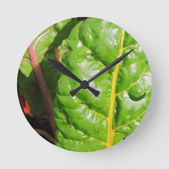 Horloge Ronde Chaînes suisses (Recto)