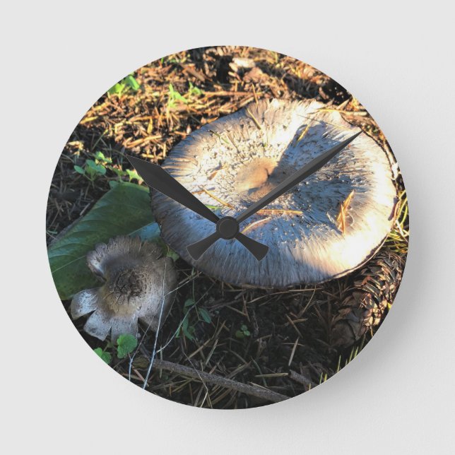 Horloge Ronde Champignons, Oregon (Recto)