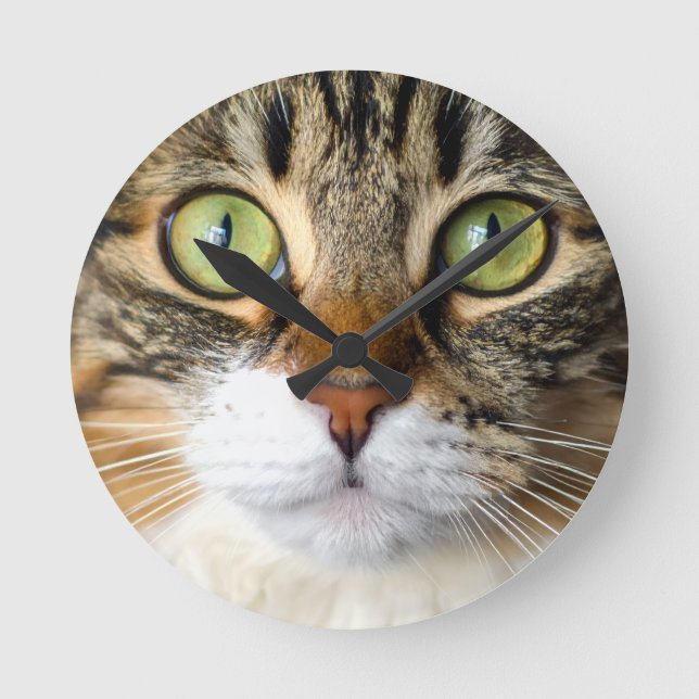 Horloge Ronde chat (Recto)