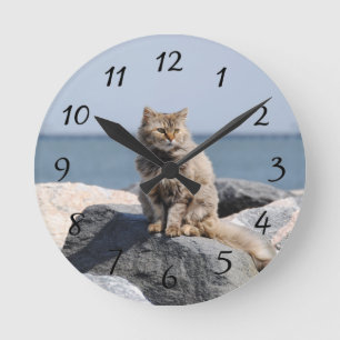 Horloge Ronde Chat balayé par le vent
