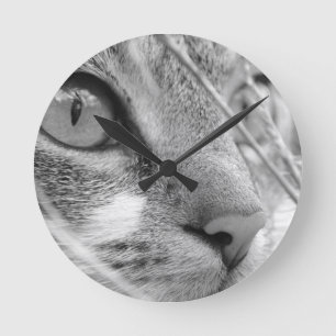 Horloge Ronde chat gris et blanc sur un vert