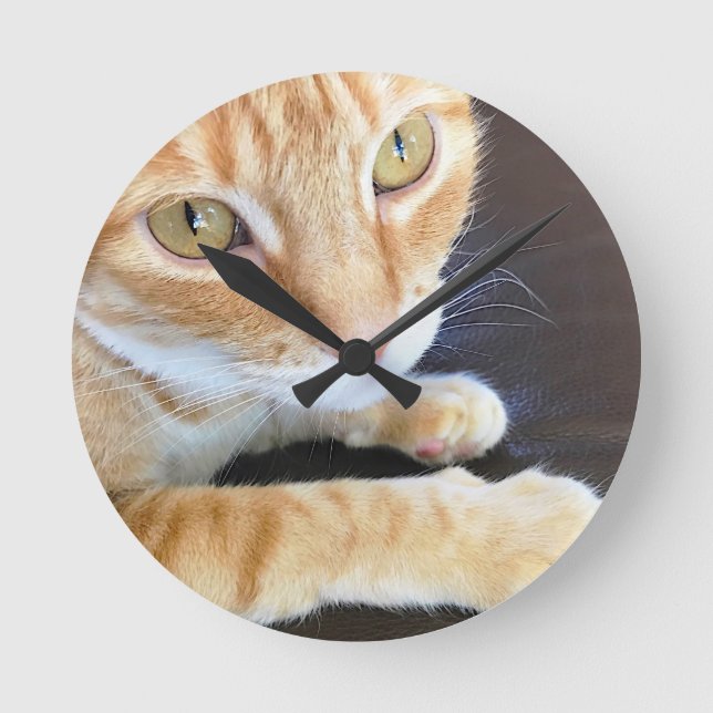 Horloge Ronde Chat orange en gros plan (Recto)