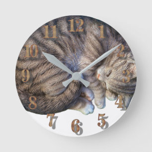 Horloge Ronde Chat roulé en boule endormi mignon et cosy